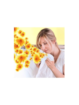 Lenor - Spray liberador de arrugas que elimina las arrugas en la tela, aroma de brisa de verano duplo 2 unidades de 500 ml