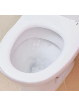 Pack 3 sobres x 100 gramos Polvo activo limpiador espumoso para inodoros Pink Stuff The Miracle Foaming Toilet Cleaner